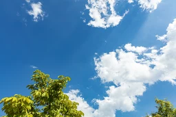 dd5d74c0b38679e1f86b.webp