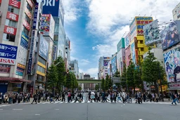 ff90d42fd9d2cbdd4324.webp