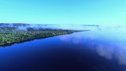 2e9977f006f28e1914a6.mp4