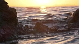 4d248f44f01e99135efc.mp4