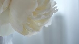 74e7057ecb53a9bdfaa5.mp4