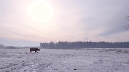 812cbdebd4098d84ec6f.mp4
