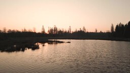 d57a60c1fcfb26a12f0c.mp4